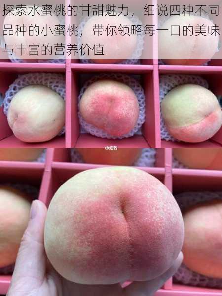 探索水蜜桃的甘甜魅力,细说四种不同品种的小蜜桃,带你领略每一口的美味与丰富的营养价值