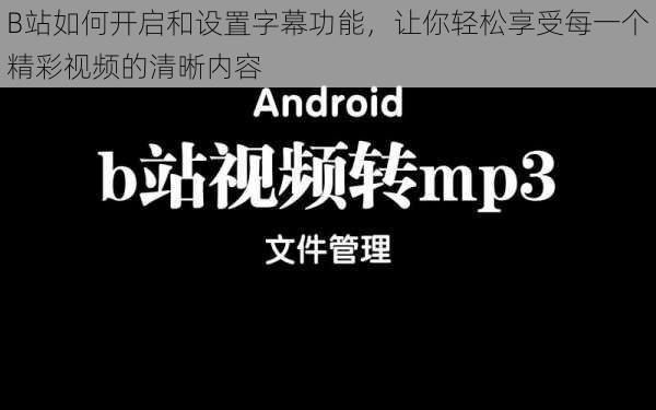 B站如何开启和设置字幕功能，让你轻松享受每一个精彩视频的清晰内容