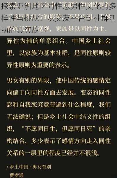 探索亚洲地区同性恋男性文化的多样性与挑战：从交友平台到社群活动的真实故事