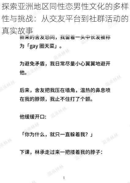 探索亚洲地区同性恋男性文化的多样性与挑战：从交友平台到社群活动的真实故事