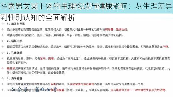 探索男女叉下体的生理构造与健康影响：从生理差异到性别认知的全面解析