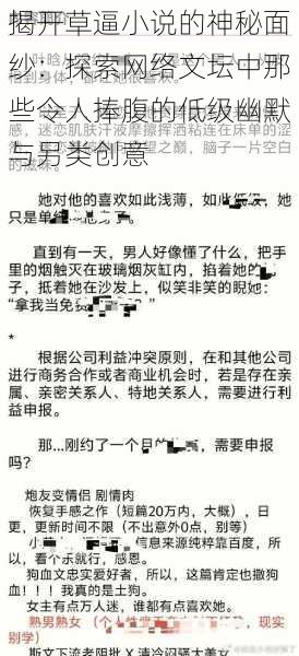 揭开草逼小说的神秘面纱:探索网络文坛中那些令人捧腹的低级幽默与另类创意