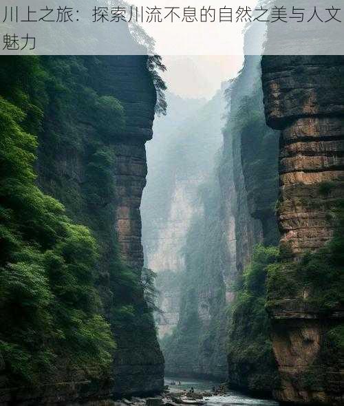 川上之旅:探索川流不息的自然之美与人文魅力