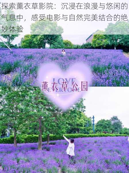 探索薰衣草影院：沉浸在浪漫与悠闲的气息中，感受电影与自然完美结合的绝妙体验