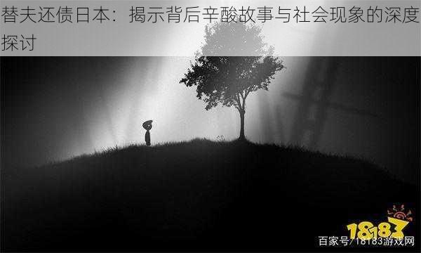 替夫还债日本:揭示背后辛酸故事与社会现象的深度探讨