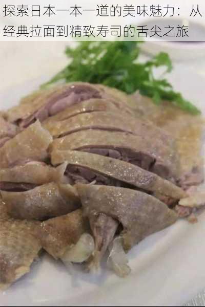 探索日本一本一道的美味魅力:从经典拉面到精致寿司的舌尖之旅