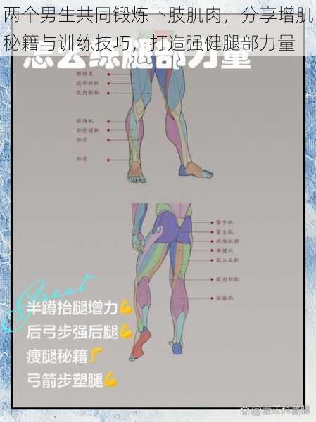 两个男生共同锻炼下肢肌肉,分享增肌秘籍与训练技巧,打造强健腿部力量