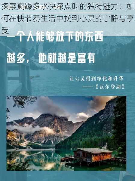 探索爽躁多水快深点叫的独特魅力:如何在快节奏生活中找到心灵的宁静与享受