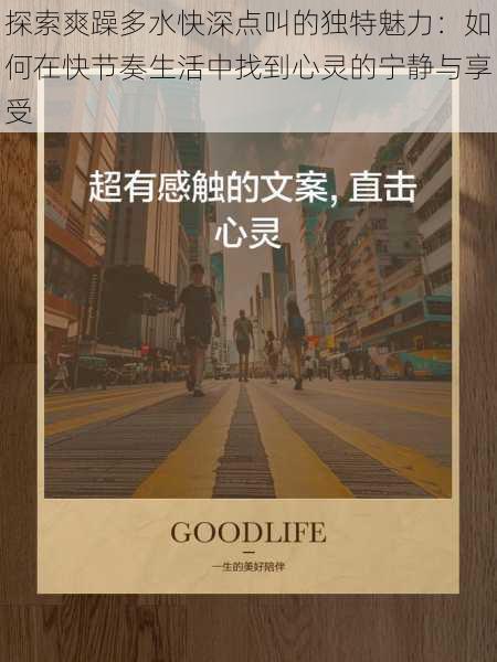 探索爽躁多水快深点叫的独特魅力:如何在快节奏生活中找到心灵的宁静与享受