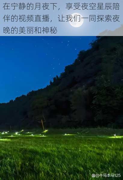 在宁静的月夜下，享受夜空星辰陪伴的视频直播，让我们一同探索夜晚的美丽和神秘