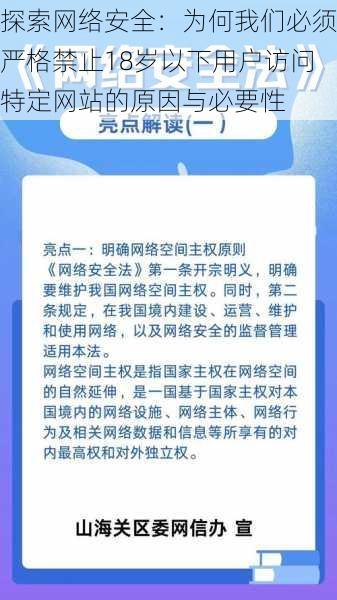 探索网络安全:为何我们必须严格禁止18岁以下用户访问特定网站的原因与必要性