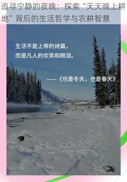 追寻宁静的夜晚:探索“天天晚上耕地”背后的生活哲学与农耕智慧