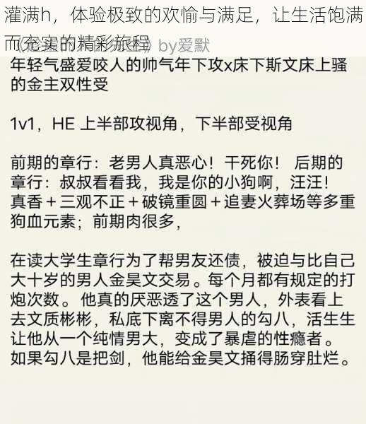 灌满h,体验极致的欢愉与满足,让生活饱满而充实的精彩旅程