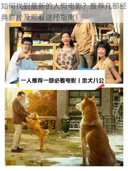 如何找到最新的人狗电影?推荐几部经典影片及观看途径指南!