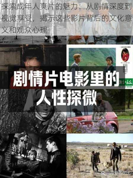 探索成年人爽片的魅力:从剧情深度到视觉享受,揭示这些影片背后的文化意义和观众心理