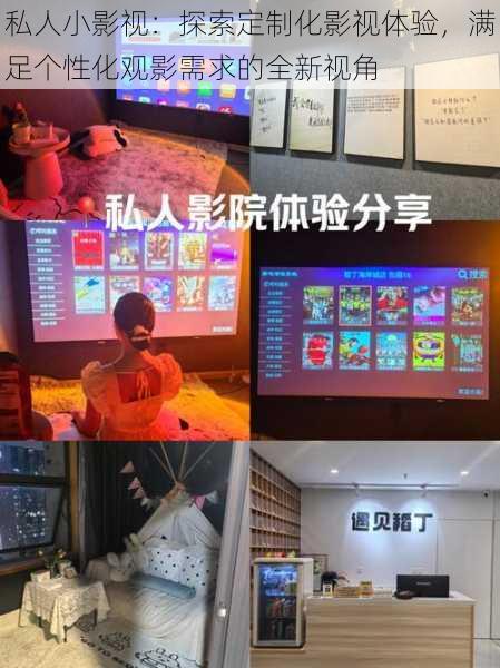私人小影视:探索定制化影视体验,满足个性化观影需求的全新视角