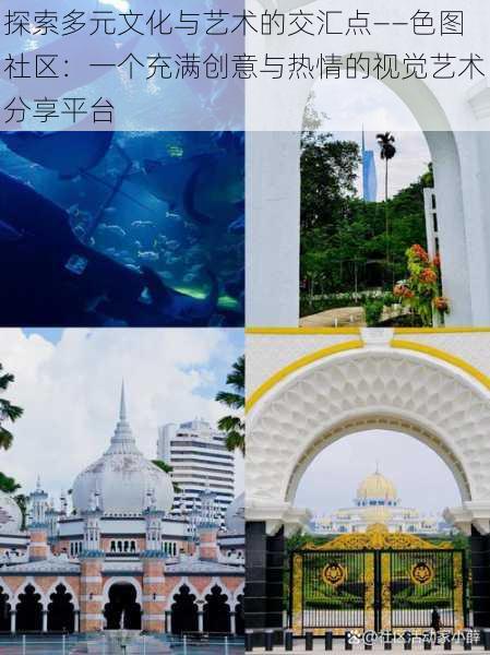探索多元文化与艺术的交汇点——色图社区:一个充满创意与热情的视觉艺术分享平台