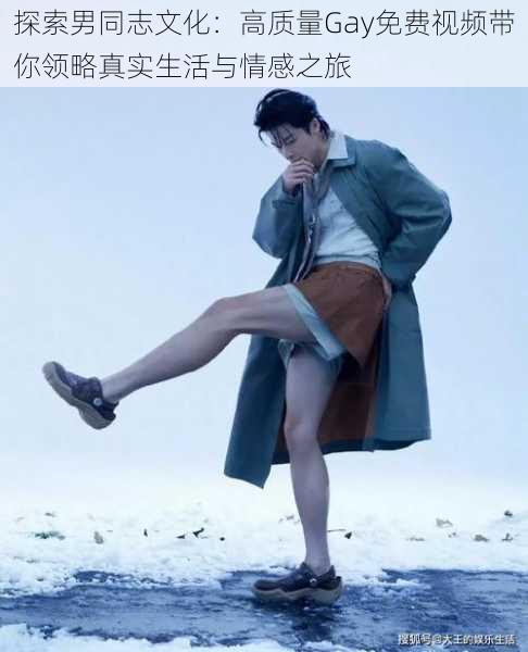 探索男同志文化:高质量Gay免费视频带你领略真实生活与情感之旅