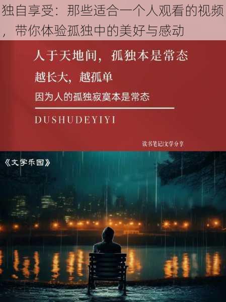 独自享受:那些适合一个人观看的视频,带你体验孤独中的美好与感动