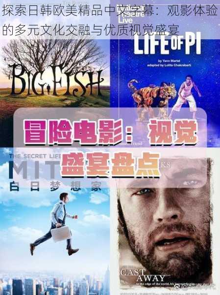 探索日韩欧美精品中文字幕:观影体验的多元文化交融与优质视觉盛宴