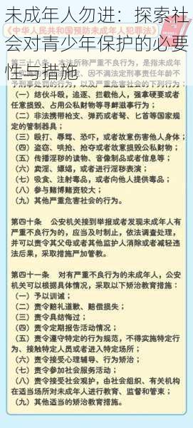 未成年人勿进:探索社会对青少年保护的必要性与措施
