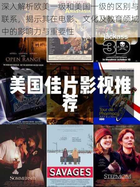 深入解析欧美一级和美国一级的区别与联系,揭示其在电影、文化及教育领域中的影响力与重要性