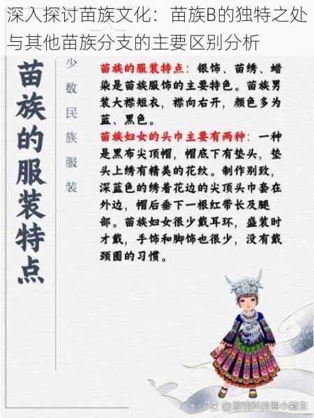 深入探讨苗族文化:苗族B的独特之处与其他苗族分支的主要区别分析