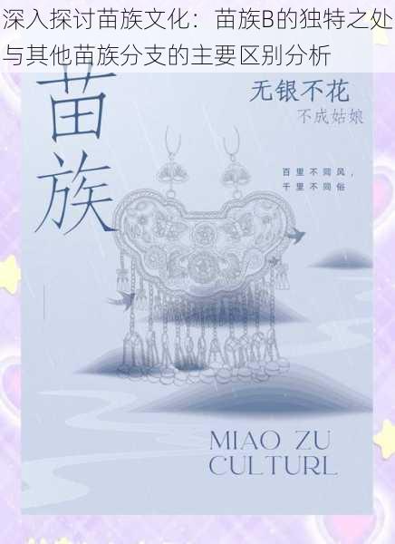 深入探讨苗族文化:苗族B的独特之处与其他苗族分支的主要区别分析
