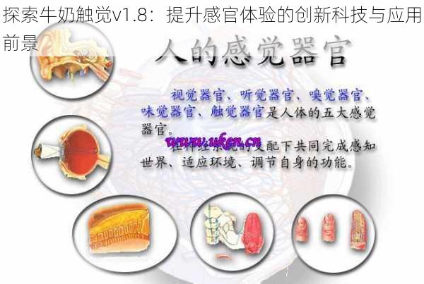 探索牛奶触觉v1.8:提升感官体验的创新科技与应用前景