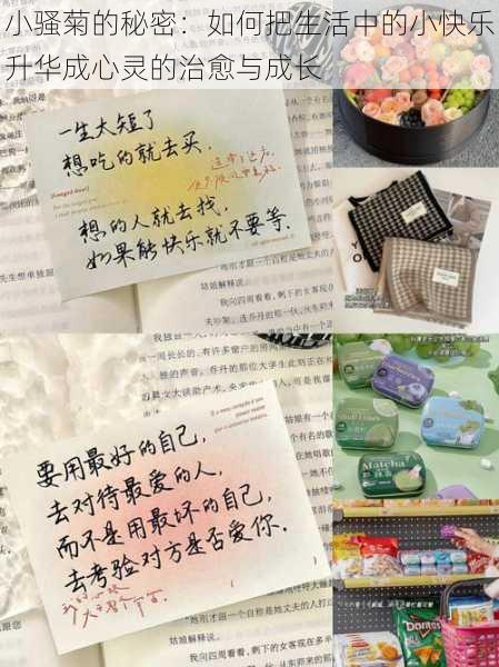 小骚菊的秘密:如何把生活中的小快乐升华成心灵的治愈与成长