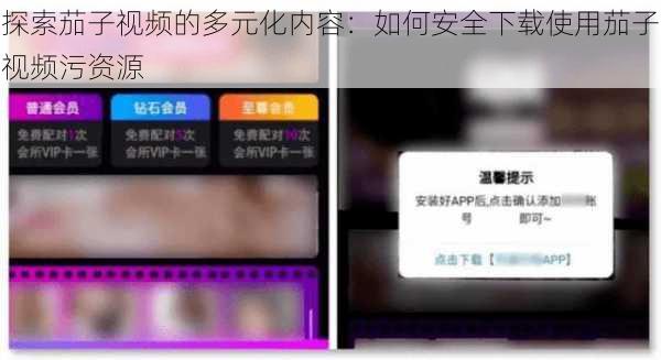 探索茄子视频的多元化内容:如何安全下载使用茄子视频污资源