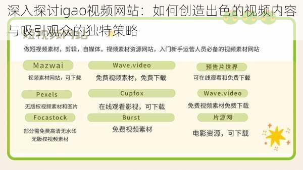 深入探讨igao视频网站:如何创造出色的视频内容与吸引观众的独特策略