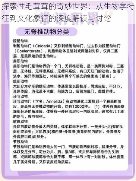 探索性毛茸茸的奇妙世界:从生物学特征到文化象征的深度解读与讨论