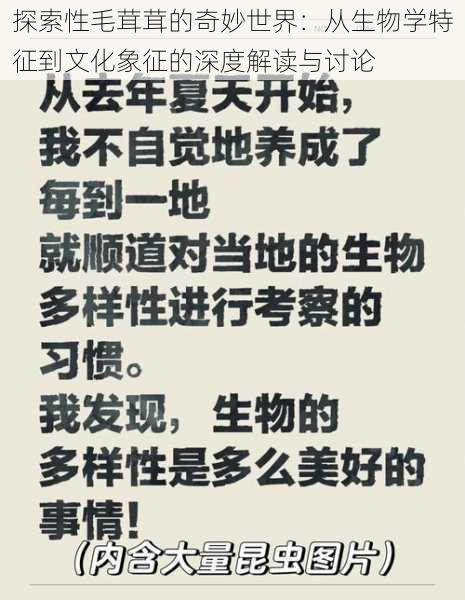 探索性毛茸茸的奇妙世界：从生物学特征到文化象征的深度解读与讨论