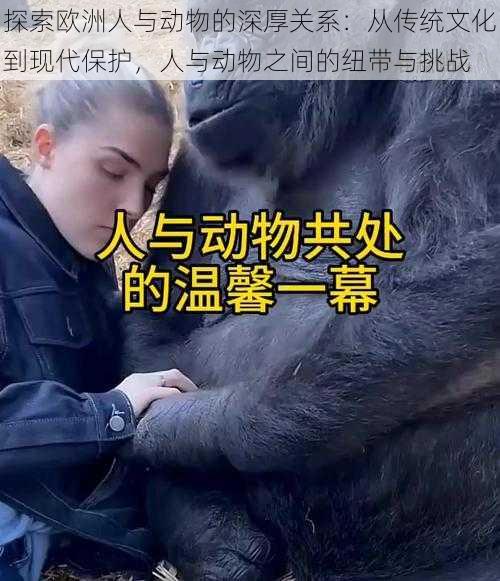探索欧洲人与动物的深厚关系：从传统文化到现代保护，人与动物之间的纽带与挑战