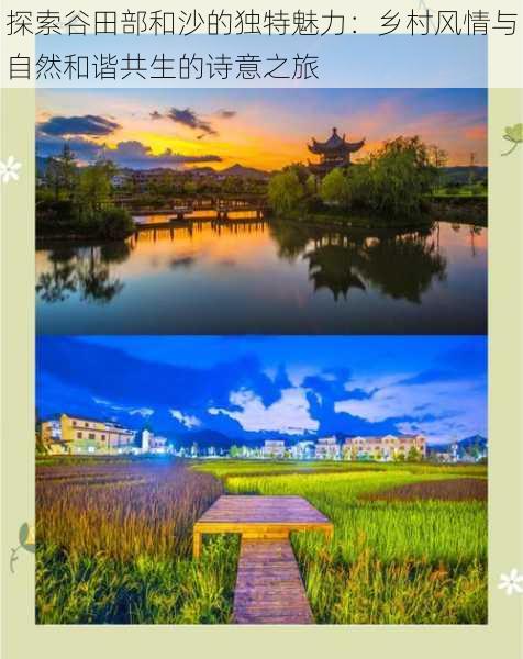 探索谷田部和沙的独特魅力:乡村风情与自然和谐共生的诗意之旅