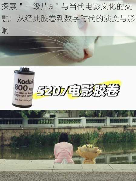 探索＂一级片a＂与当代电影文化的交融：从经典胶卷到数字时代的演变与影响