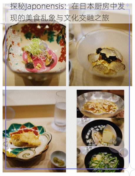 探秘Japonensis:在日本厨房中发现的美食乱象与文化交融之旅