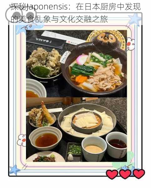 探秘Japonensis:在日本厨房中发现的美食乱象与文化交融之旅