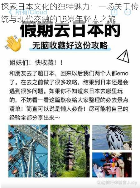 探索日本文化的独特魅力:一场关于传统与现代交融的18岁年轻人之旅