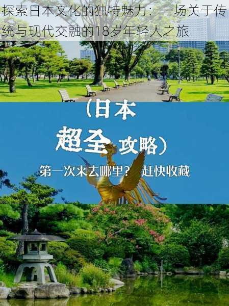探索日本文化的独特魅力:一场关于传统与现代交融的18岁年轻人之旅