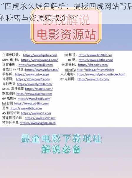 “四虎永久域名解析:揭秘四虎网站背后的秘密与资源获取途径”