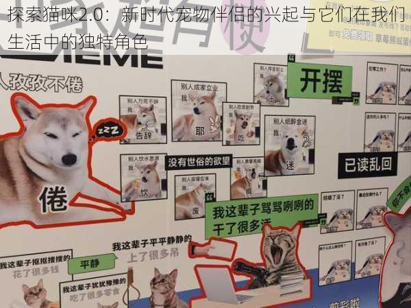 探索猫咪2.0:新时代宠物伴侣的兴起与它们在我们生活中的独特角色