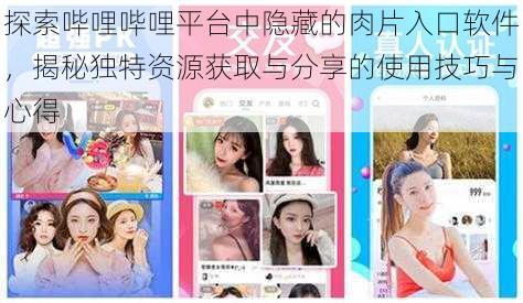 探索哔哩哔哩平台中隐藏的肉片入口软件,揭秘独特资源获取与分享的使用技巧与心得