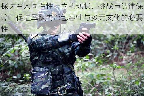 探讨军人同性性行为的现状、挑战与法律保障:促进军队内部包容性与多元文化的必要性