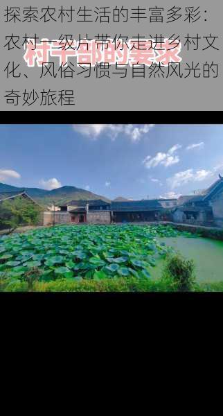 探索农村生活的丰富多彩:农村一级片带你走进乡村文化、风俗习惯与自然风光的奇妙旅程
