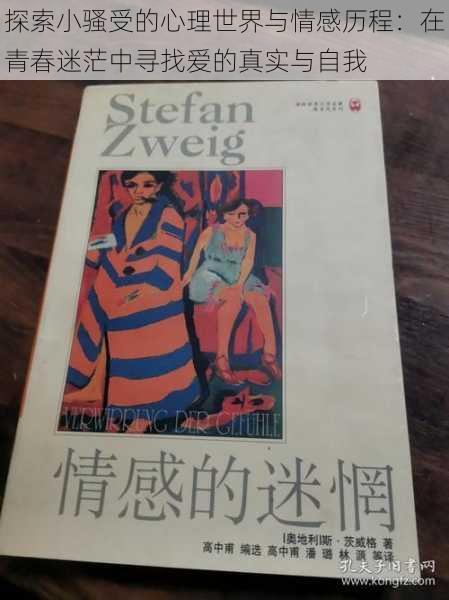 探索小骚受的心理世界与情感历程:在青春迷茫中寻找爱的真实与自我