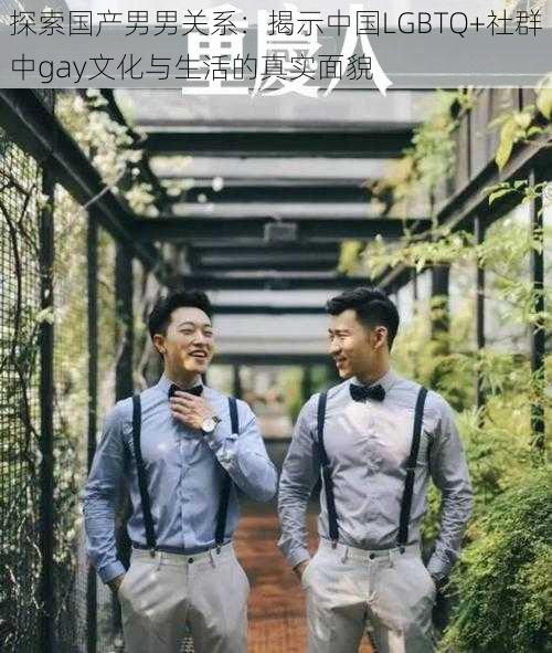 探索国产男男关系:揭示中国LGBTQ+社群中gay文化与生活的真实面貌