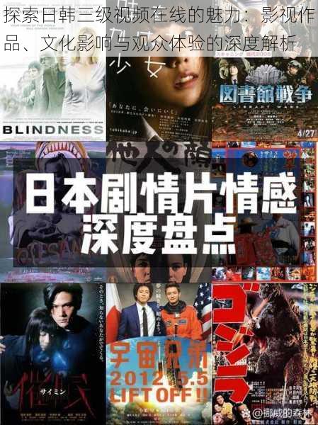 探索日韩三级视频在线的魅力:影视作品、文化影响与观众体验的深度解析