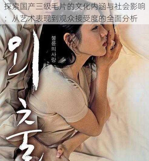 探索国产三级毛片的文化内涵与社会影响:从艺术表现到观众接受度的全面分析